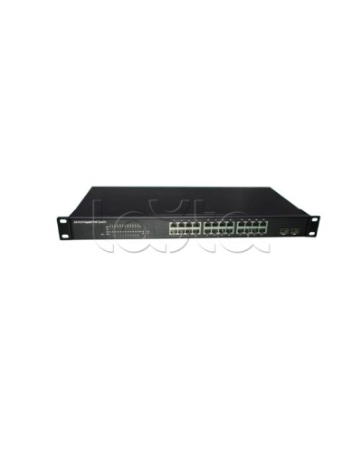 PoE-Коммутатор EverFocus ACE-224PG в Обнинске Коммутаторы Pintop.ru